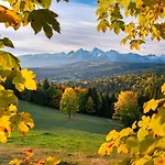 Pod Tatrami & * Zakopane