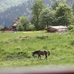Pod Tatrami & Zakopane