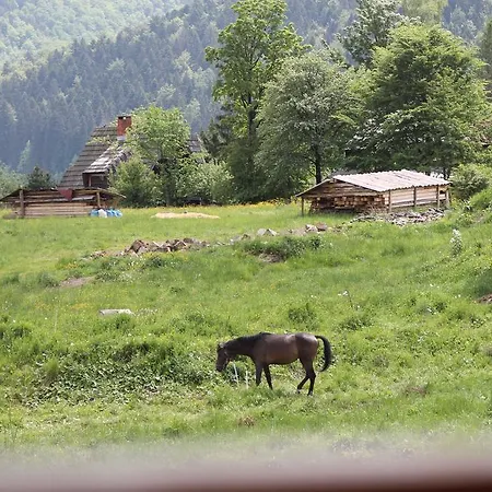 Pod Tatrami & Zakopane